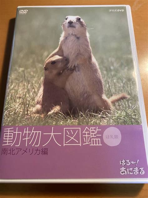 動物代表|動物大図鑑 